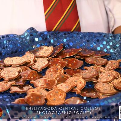 319555618 3481187578869481 4492061481230966380 N1