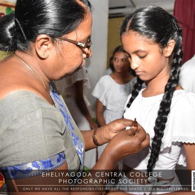 319676396 529208792586484 2345725491952412670 N