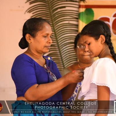 320035834 559484412714678 6862076440890877098 N