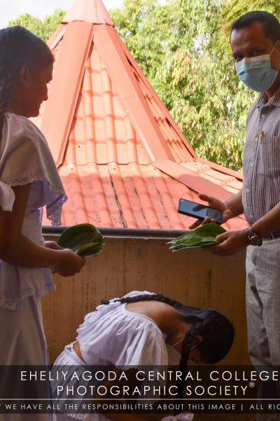 320165593 938834703751789 6538782725248660276 N