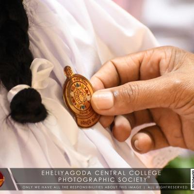 The ceremony of awarding official badges of the Buddhist Association...
