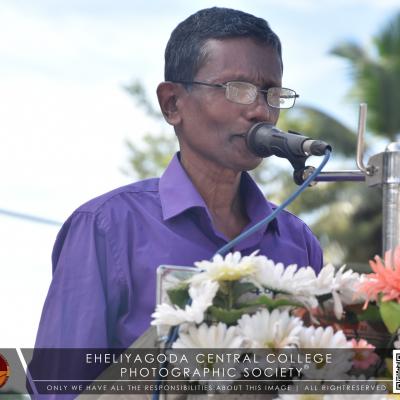 320754838 696718898698670 3800657303581685429 N