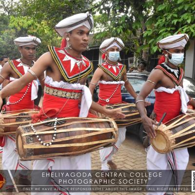 321066267 891821118492466 1416760581287172363 N